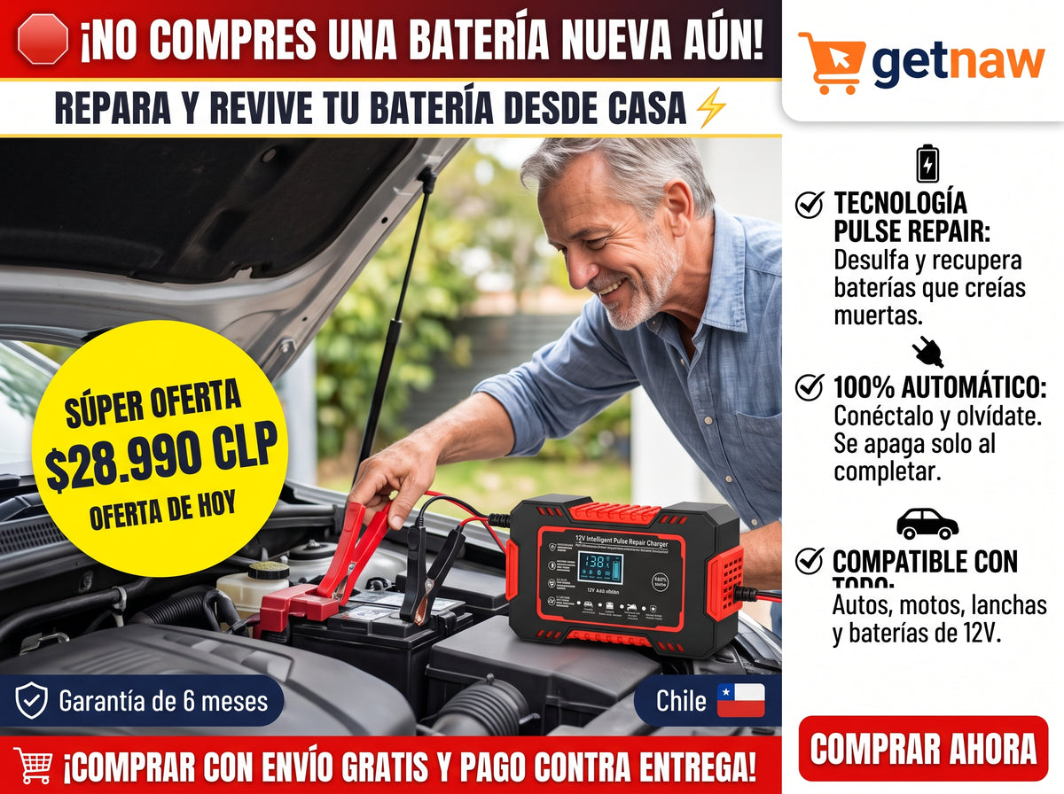 cargador de bateria para coche 12v